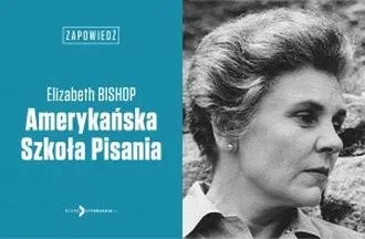 Interpretacja ta jednej sztuki wiersza Elizabeth Bishop – odkrywanie ukrytych znaczeń