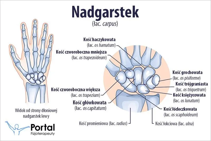 Odkrywanie wiersza o kościach nadgarstka w poezji codzienności