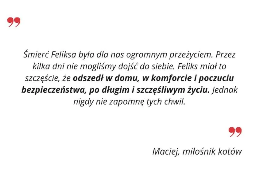 Pożegnanie kota: wiersz, który koi żal