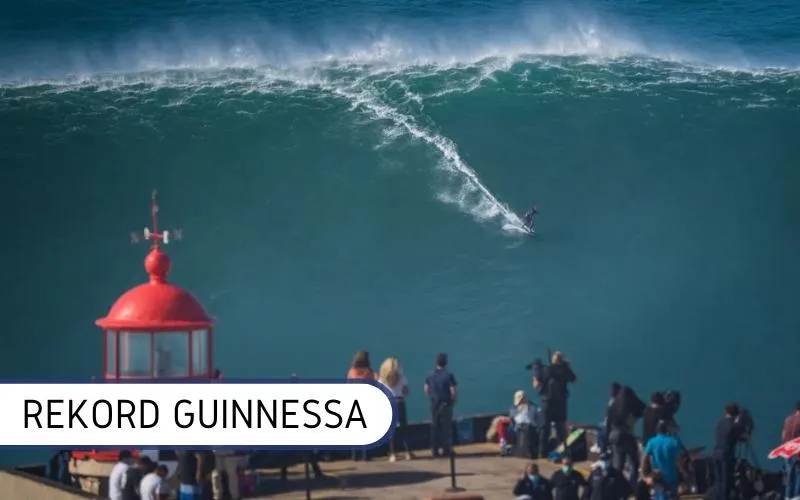 Analiza długości powieści Fala