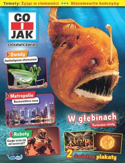 Ciekawość w życiu codziennym