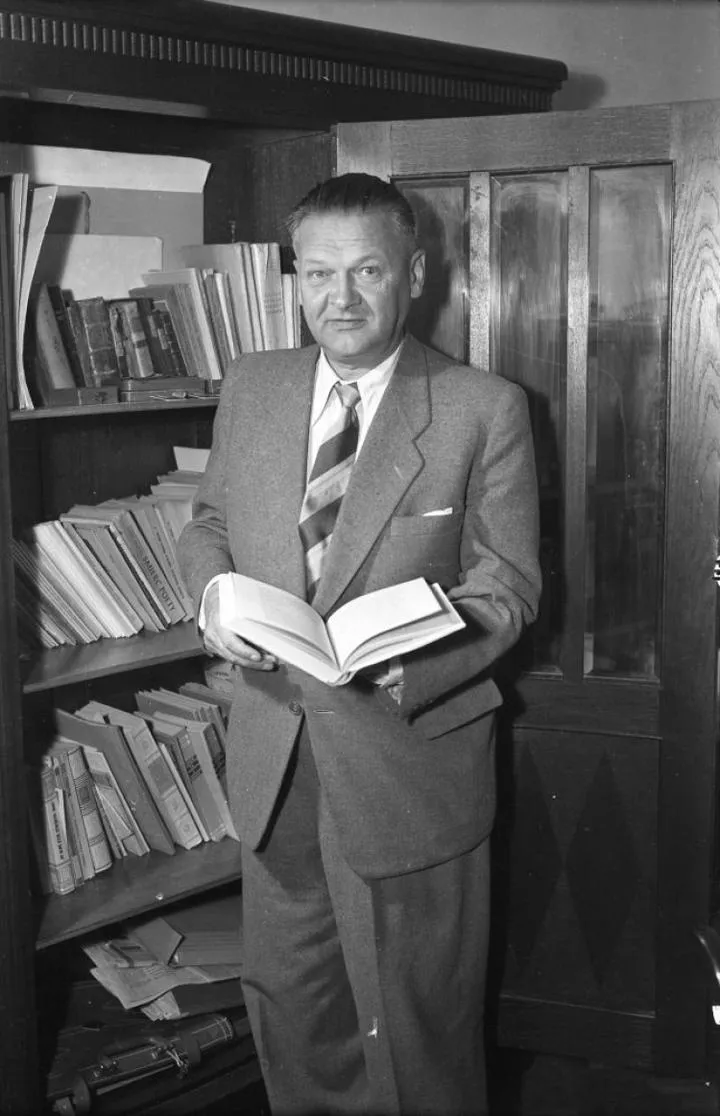 Cykl poetycki Anka Broniewski