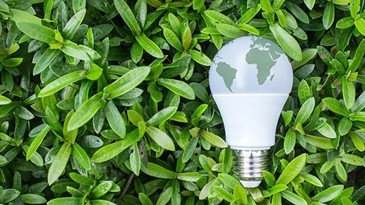 Ekologia w literaturze