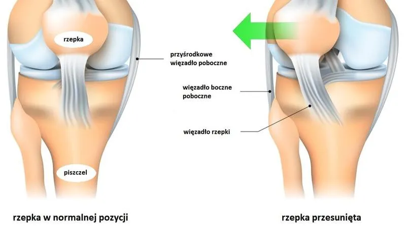 Ilustracje do wierszy dla dzieci