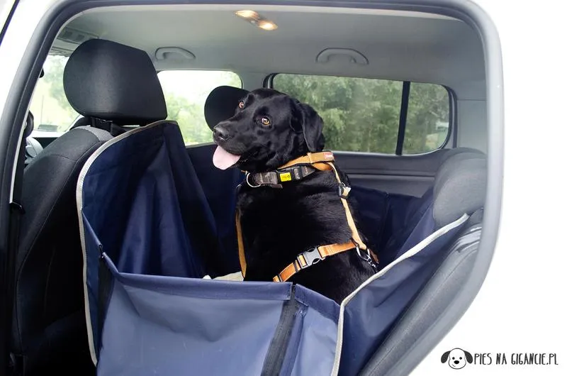 Klasyka literatury dziecięcej