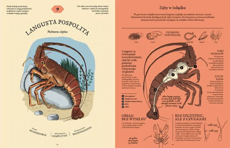 Podejmowanie decyzji życiowych