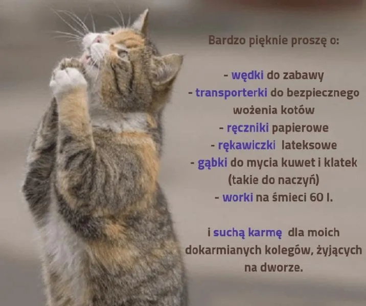 Poezja o żalu