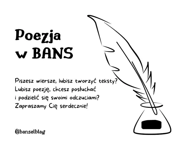 Środki stylistyczne w poezji