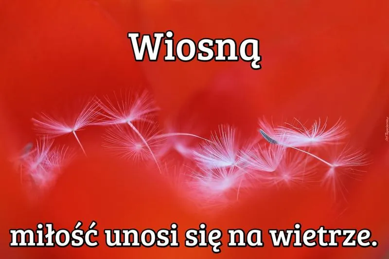 Wiosenna miłość