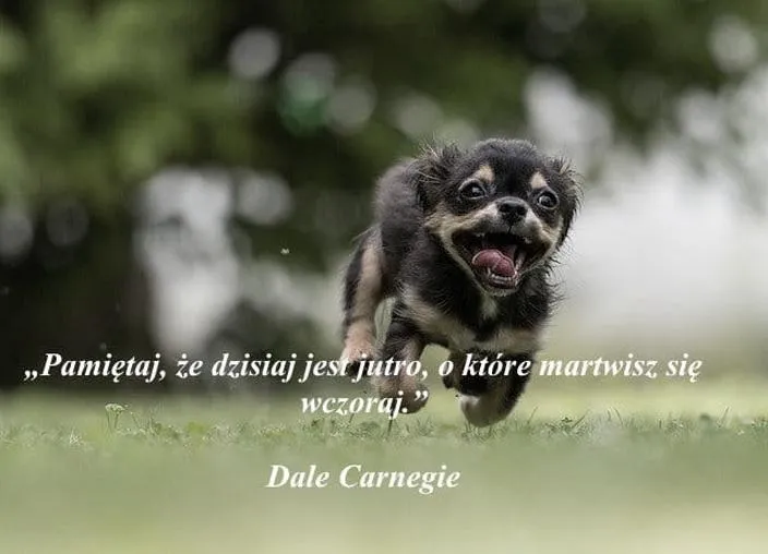 Zabawne przesądy