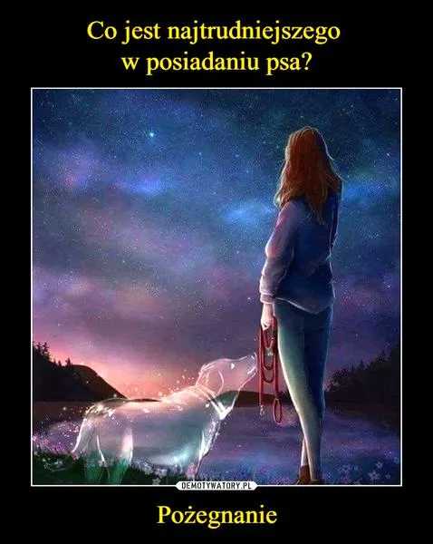Żałoba po stracie psa